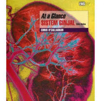 At a Glance Sistem Ginjal
